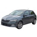 Injecteur SKODA Fabia